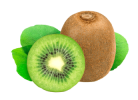 kiwi_img-1.png